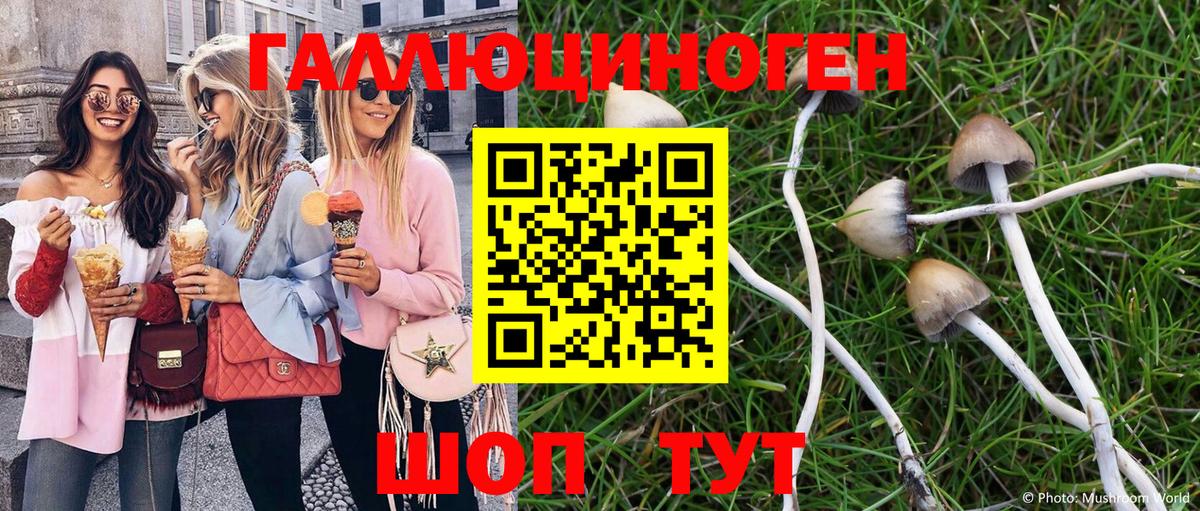 Псилоцибиновые грибы ЛСД Ачхой-Мартан